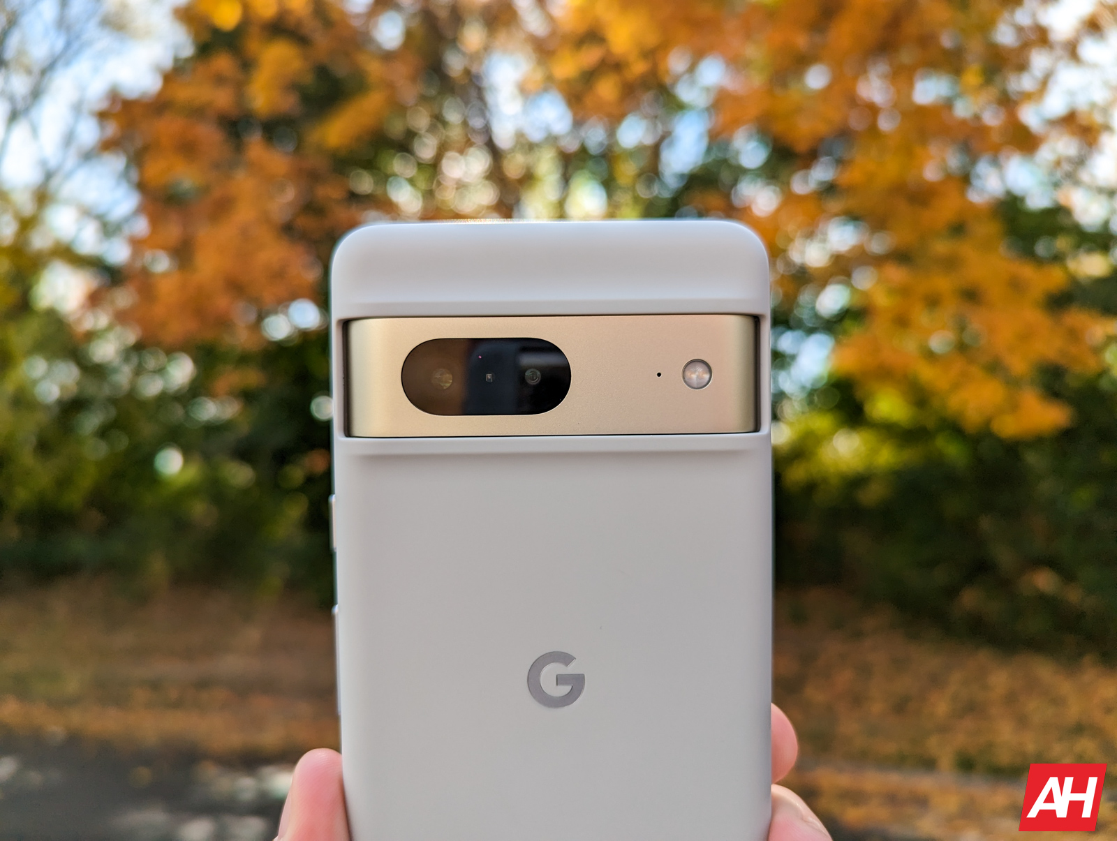 Best Google Pixel 7 Cases